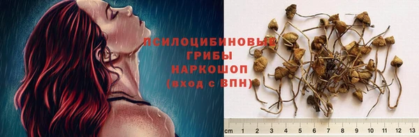 эйфоретик Алзамай